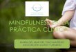 MINDFULNESS EN LA PRÁCTICA CLÍNICA - plda.vigo.orgplda.vigo.org/fotos/biblioteca/ACTIVIDADES/CURSO ACTUALIZACION... · Mente de Principiante Paciencia. Meditación de las Actitudes
