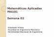 Matemáticas Aplicadas MA101 Semana 02bionanouni.wdfiles.com/local--files/teaching-ma101-horario-2012ii/... · •En cálculo simbólico, símbolos representan objetos (números,