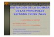 2003 12 ESTIMACIÓN DE LA BIOMASA DE LAS PRINCIPALES ... · Establecer el balance neto de biomasa para las principales especies forestales. ESPECIES Nº de especies a las cuales afectará