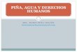 PIÑA, AGUA Y DERECHOS HUMANOS - tragua.comtragua.com/wp-content/uploads/2013/10/Presentación-Mario-Peña... · Ley Orgánica del Ambiente Ley General de Salud Ley de Conservación