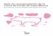 Guía de recomendación de la Carne de Cerdo de Capa Blancasennutricion.org/media/Docs_Consenso/GRecomenda_cerdo_carneblanca.pdf · Solo una tercera parte de la grasa es saturada
