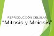 REPRODUCCIÓN CELULAR “Mitosis y Meiosis” · Ciclo celular Interfase Mitosis con citodiéresis ... • Se organiza el huso meiótico, el núcleo se desorganiza y desaparece el