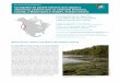 Resumen de investigación Cartografía de pastos marinos ... · Reservas de carbono en lechos de Zostera ... F. Short y D. Torio, de la Universidad de Nuevo Hampshire ... se están