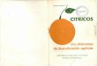  · En 1962 se construyó una pequeña planta de concen- ... tudios e investigaciones rnuy valiosas y se mantiene estrecha ... como limón ácido o naranja agria, 