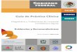 Guía de Práctica Clínica - Juntos Contra el Cáncerjuntoscontraelcancer.mx/jcc/wp-content/uploads/2017/06/79-GPC... · Métodos empleados para colectar y seleccionar evidencia
