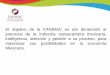 El objetivo de la CANIRAC es dar dimensión al potencial de ...canirac.org.mx/images/servicios/files/Presentación Beneficios... · •Bolsa de Trabajo: ... PRONTUARIO JURÍDICO Consulta