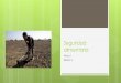 Tema 1 Sesion 2 - mayores.uji.esmayores.uji.es/.../Tema_1.2_seguridad_alimentaria_y_agricultura.pdf · Sesion 2 ¿Hay hambre en el mundo? ... “La Capacidad y el poder de los Pueblos