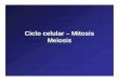 Ciclo Celular - Mitosis - Meiosisalevazquez.com.ar/pdfs/Ciclo_Celular_Mitosis_Meiosis.pdfCiclo celular Fase G0: se la encuentra fuera del ciclo, cuando una célula ha ido a esta etapa,