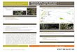 Presentación de PowerPoint - arauco.cl · Documentación asociada •Plan de Conservación Arauco Partes interesadas destacadas •SEREMI de Medio Ambiente •CONAF ... ambiental