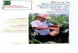 Manual de Mejoramiento y ZAMORANO Conservación del Maíz ... · entre la planta de maíz y el comportamiento alimentario de los habitantes de esta región. ... produjeron más alimentos