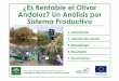 ¿Es Rentable el Olivar Andaluz? Un Análisis por Sistema ... · sistema productivo Esta investigación ha sido financiada por el Programa Operativo FEDER y FSE de Andalucía 2007-2013