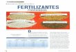 biblioteca.inia.clbiblioteca.inia.cl/medios/biblioteca/ta/NR29168.pdf · Fertilizantes fosfatados que más se utilizan en Chile. ... las cuales presentan cierta contaminación con