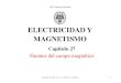 ELECTRICIDAD Y MAGNETISMO - cartagena99.com (1).pdf · campo magnético terrestre y ... Cuando una carga puntual q se mueve con velocidad v, se produce un campo magnético B en el