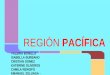 REGIÓN PACÍFICA región del Pacífico 1 de Colombia se encuentra ubicada al occidente de dicho país, colindante con el océano Pacífico, de donde toma su nombre. Hace parte del