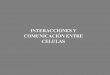 INTERACCIONES Y COMUNICACIÓN ENTRE CELULAS · 2014-08-19 · Matriz extracelular microfilamentos ... T3 y t4 NO INTERACCIONES INTERCELULARES: COMUNICACIÓN . ... INTERACCIONES INTERCELULARES