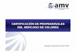 CERTIFICACIÓN DE PROFESIONALES DEL MERCADO DE … · Con documento de identidad Presentación Resultado Web (3er aplicante) Transmisión Reporte de datos SFC AMV Verificación Antecedentes