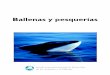 Ballenas y pesquerías · Este folleto estÆ disponible en inglØs, ... sino otros peces de la cadena alimenticia. ... los detalles específicos sobre la mayor parte de su