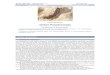 CLASE DIPLOPODA Orden Polydesmida - sea-entomologia.orgsea-entomologia.org/IDE@/revista_28.pdf · Para identificar las especies es necesario estudiar la morfología del gonópodo