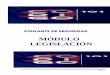 MÓDULO LEGISLACIÓN VIGILANTE DE SEGURIDAD“DULO-LEGISLACIÓN.pdf · MODULO DE LEGISLACIÓN. ÍNDICE. TEMA 1.- DERECHO CONSTITUCIONAL Pág. 3 TEMA 2.- LA UNIÓN EUROPEA Pag. 16