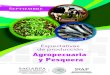 Expectativas de producción Agropecuaria y Pesquera - gob.mx · El volumen de producción agropecuaria y pesquera de 2016 fue de 221 millones de toneladas (5.6% menos que en 2015)