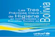 Las Tres Prácticas Clave de Higiene - Home page | UNICEF · 2018-08-16 · con los hábitos de higiene 41 Lavado de manos en las ... Gráfico 10 ¿En qué momento se lava las manos?