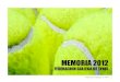 Federación Gallega de Tenis 1 · RESULTADOS DEL EJERCICIO ( BENEFICIOS ) ( AV - A15 - A16 ) PERDIDAS Y GANANCIAS 31/12/12 Federación Gallega de Tenis 16 HABER Ejercicio 2012 Ejercicio