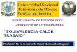 Universidad Nacional Autónoma de Méxicodepa.fquim.unam.mx/amyd/archivero/EQUIVALENTE_CALOR_TRABAJO_30761.pdf · cambios y transformaciones ... ganancia de energía térmica =masa