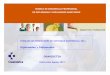 Diplomadas y Diplomados OSAKIDETZA · Evaluación PAE (Proceso, Resultados) − Nº Informes Continuidad de ... Hospitalización Materno-Infantil Enfermero/a - Hospitalización Áreas