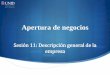 Sesión 11: Descripción general de la empresamoodle2.unid.edu.mx/dts_cursos_mdl/ejec/AE/AN/S11/AN11_Visual.pdf · Aspectos a considerar Antecedentes Necesidad detectada Actividad