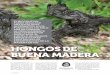 MADERA EN VID. HONGOS DE BUENA MADERA - …chile2007.pipra.org/articlePDFs/key_1529503283.pdf · va que regula la venta y uso de productos ... salud humana, animales y el medio ambiente