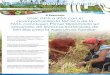 Boletín Informativo Nicaragua Julio - Agosto, 2014 · Familiar para la Alimentación Escolar. ... de la Cooperativa CHI-NATLAN, ... en el cual se pretende completar la agenda y el