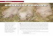 BiEnEstar porcino - axonveterinaria.netaxonveterinaria.net/.../criaysalud/1/cys_1_Bienestar_porcino.pdf · 2. La rentabilidad. 3. La productividad. 4. La protección del medio ambiente