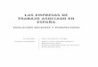 LAS EMPRESAS DE TRABAJO ASOCIADO EN ESPAÑA trabajo asociado.pdf · Las cooperativas de trabajo asociado en la Encuesta CIRIEC-2008 ..... 44 CAPÍTULO 2. ANÁLISIS DE LA EVOLUCIÓN