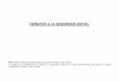 Derecho a la Seguridad Social - oas.org · 1 DERECHO A LA SEGURIDAD SOCIAL NOTA: Informe inicial de la República Argentina, enviado al GTPSS en mayo de 2017. La consulta de los indicadores