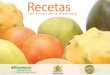introducción · introducción introducción El Comité Institucional Asesor de Frutas Amazónicas, conformado por la Ini-ciativa Biocomercio Sostenible (CORPEI/EcoCiencia), la 