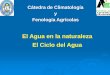 El Agua en la naturaleza El Ciclo del Aguaecaths1.s3.amazonaws.com/clima/1729118908.Ciclo agua 2018.pdf · Los Estados del Agua en el Ciclo Hidrológico y sus Componentes. Sólido