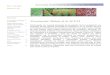 Volumen 4 No 1 Boletín SCCH - soccolhort.com 4-1 ingles.pdf · gan “Ciencia y Tecnología ... alternativas de solución para el desarrollo de la horticultura en ... productores