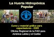 La Huerta Hidropónica Popular - Red de mujeres para el ... digital/huerta_hidroponica_popular.pdf · • El Manual de Auto-Instrucción ... • La calidad e inocuidad de los alimentos