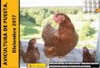 DE PUESTA. e 2017 - Avicultura.com - Ayudamos …³n por destino de las exportaciones Extra-UE de huevos y ovoproductos (sin equivalencia cascara) 2016-2017 periodo de enero a septiembre