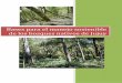 adj13Bases para el Manejo Forestal Sostenible · forestal y foresto industrial. La cadena de valor forestal vinculada al bosque nativo 3. ... Esta documentación de Base se focaliza