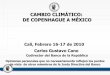 CAMBIO CLIMÁTICO: DE COPENHAGUE A MÉXICO la Unión Europea Transacciones Corporaciones pueden comprarse y venderse CER s para cumplir metas: EUETS (European Emissions Trade System)