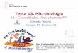 Tema 13. Microbiología - dpbiologia.weebly.comdpbiologia.weebly.com/uploads/2/1/5/5/21553524/gtp_t13.microbiolog... · Clasificación de los seres vivos: Los 5 ReinosDP/PAU En 1959
