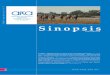 Sinopsis - psicobibliowpa.org · APSA - Abordaje Farmacológico del Trastorno Explosivo Intermitente: Estudio preliminar de la Eficacia de la Fluoxetina 