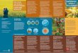 TRES COSAS 1. Monsanto contribuye a una MONSANTO ... · MITOS Y REALIDADES ... Esta guía ofrece un conjunto de datos objetivos sobre Monsanto, así como ... y apoya a la salud de