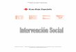 - Aplicación de Intervención Social – - Manual de ... usuario... · Aplicación de Intervención Social Manual de usuario - Febrero 2006 2 Oficina Central – Secretaría General