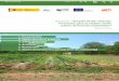 Proyecto: “Emplea Verde: Huertas. Formación para … Por este motivo, las acciones del proyecto abordaron los siguientes temas: Cultivo de huertas protegidas Agricultura ecológica