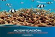 ACIDIFICACIÓN - eu.oceana.org · las cadenas alimenticias y en los propios ecosistemas. ... Para evitar la pérdida de los arrecifes de coral, y en última instancia, impedir importantes