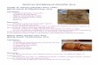 RECETAS ENTREGADAS EDICIÓN 2016 - ieslasencinas.orgieslasencinas.org/wp-content/uploads/2016/04/2016-Recetas.pdf · Extender la masa filo sobre papel vegetal y pintarla con mantequilla