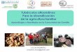 Tubérculos altoandinos: Para la diversificación de la ... · Las papas en Los Andes venezolanos . ... no sólo los materiales, sino los sistemas de manejo y diversificación 