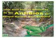 Una Guía Para el Monitoreo de los Anfibios del Parque Natural … · 2017-08-15 · vida en la forma de un renacuajo que respiran por branquias (la etapa de larva) y después llegan
